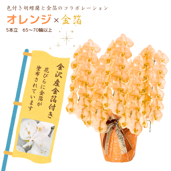 եĳ  5Ω 6570ذʾ墨դ