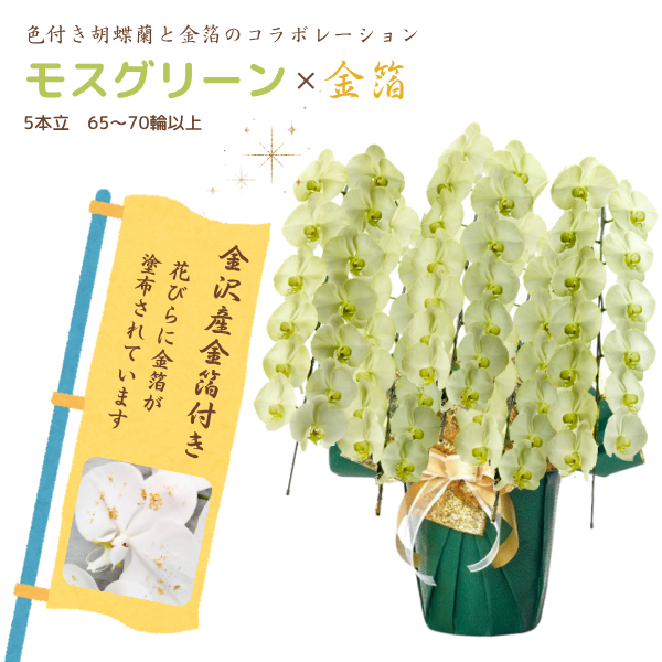 եĳ ⥹꡼ 5Ω 6570ذʾ墨դ