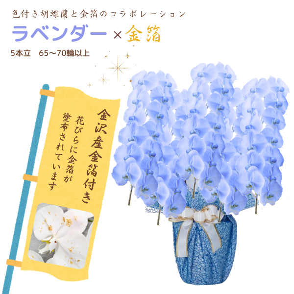 եĳ ٥ 5Ω 6570ذʾ墨դ