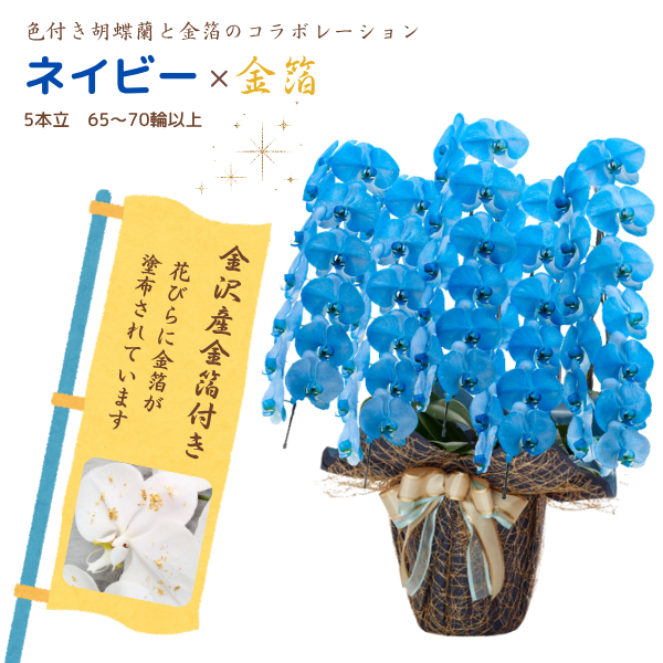 եĳ ͥӡ 5Ω 6570ذʾ墨դ