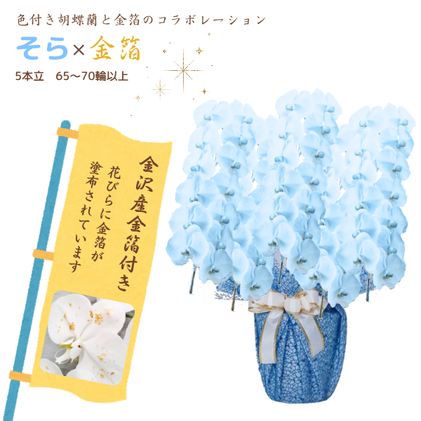 եĳ 鿧 5Ω 6570ذʾ墨դ