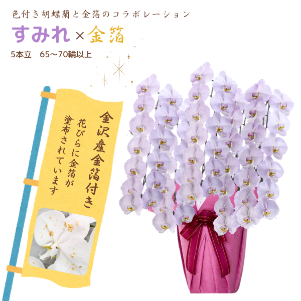 եĳ ߤ 5Ω 6570ذʾ墨դ