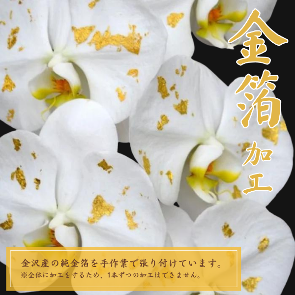 եĳ  5Ω 6570ذʾ墨դ 3