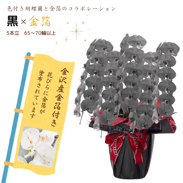 եĳ  5Ω 6570ذʾ墨դ