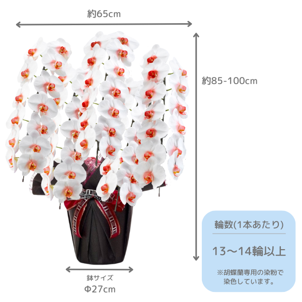 եĳ (å) 5Ω 6570ذʾ墨դ 2