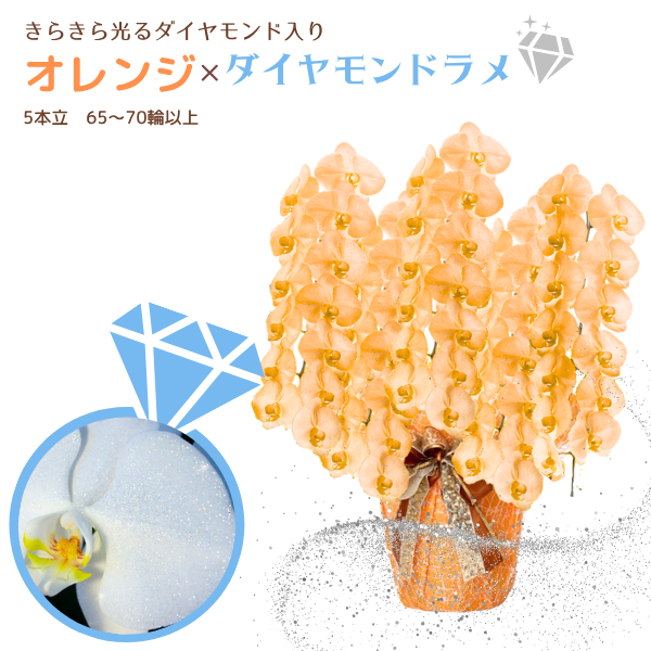 եĳ  5Ω 6570ذʾ墨դ