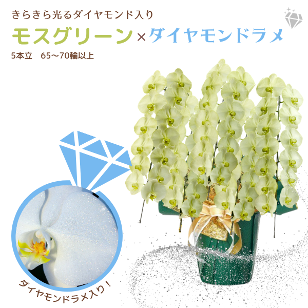 եĳ ⥹꡼ 5Ω 6570ذʾ墨դ