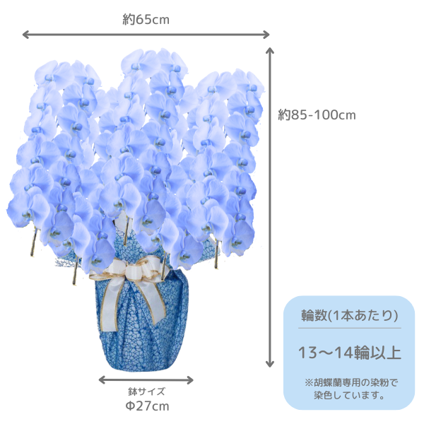 եĳ ٥ 5Ω 6570ذʾ墨դ 2