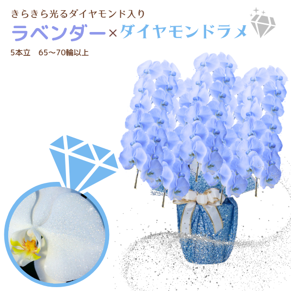 եĳ ٥ 5Ω 6570ذʾ墨դ