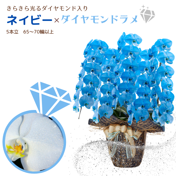 եĳ ͥӡ 5Ω 6570ذʾ墨դ