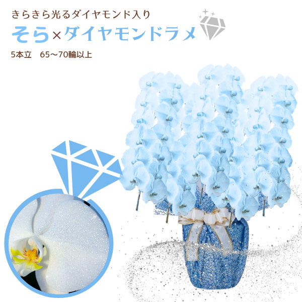 եĳ 鿧 5Ω 6570ذʾ墨դ