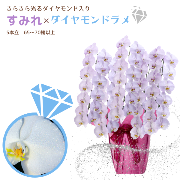 եĳ ߤ 5Ω 6570ذʾ墨դ