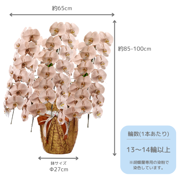 եĳ ֥ 5Ω 6570ذʾ墨դ 2