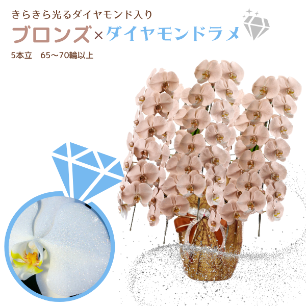 եĳ ֥ 5Ω 6570ذʾ墨դ