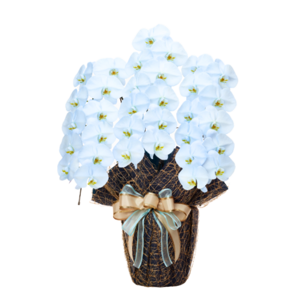 եĳ 鿧 3Ω 2730ذʾ(ΤƤȭ)