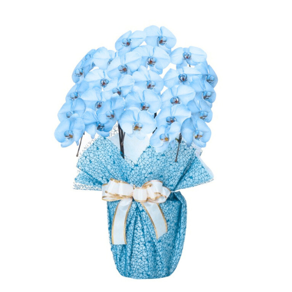 եĳ Ŀ(֥롼) 3Ω 2730ذʾ(ΤƤȭ)