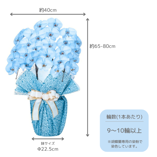 եĳ Ŀ(֥롼) 3Ω 2730ذʾ(ΤƤȭ) 2