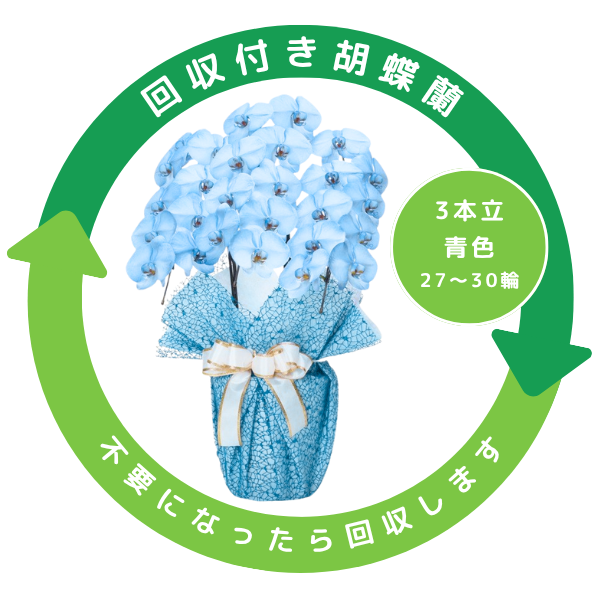 դեĳ Ŀ(֥롼) 3Ω 2730ذʾ