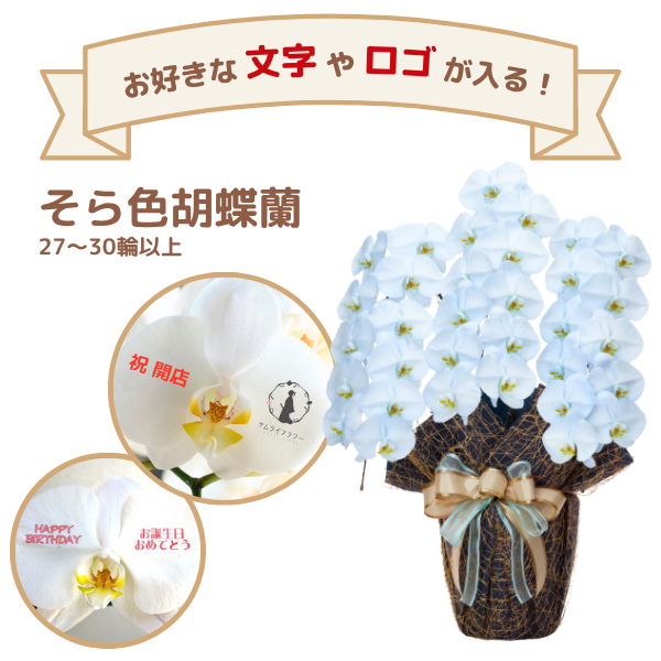 å եĳ 3Ω 鿧 2730ذʾ(ΤƤȭ)