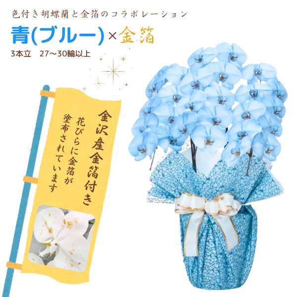 եĳ Ŀ(֥롼) 3Ω 2730ذʾ墨դ