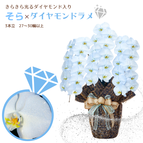 եĳ 鿧 3Ω 2730ذʾ墨դ