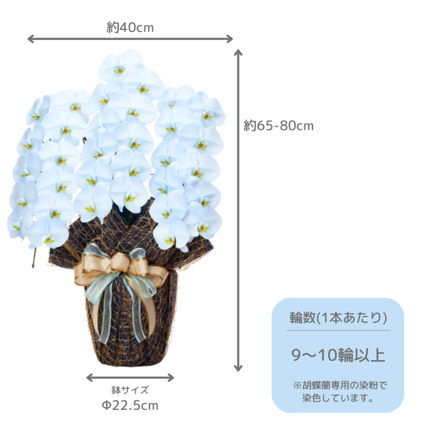 եĳ 鿧 3Ω 2730ذʾ墨դ 2