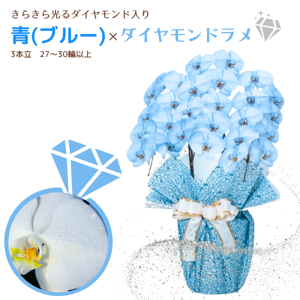 եĳ Ŀ(֥롼) 3Ω 2730ذʾ墨դ