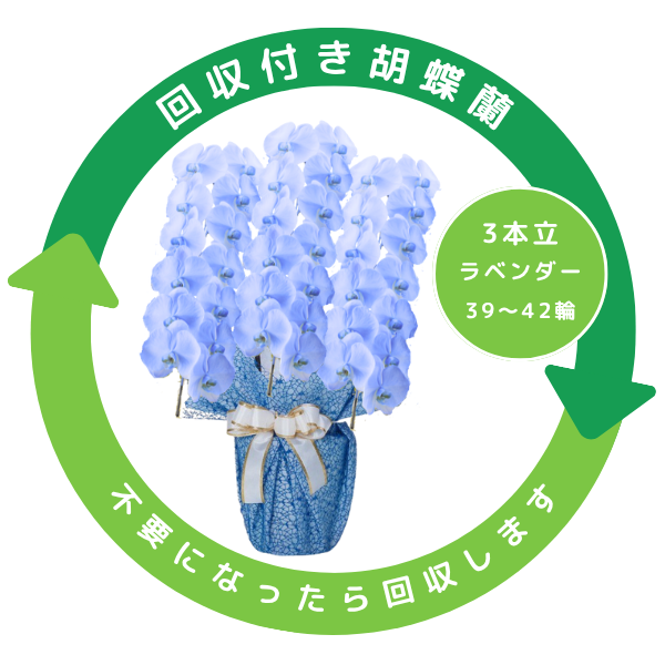 դեĳ ٥ 3Ω 3942ذʾ