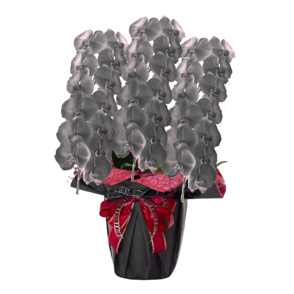 եĳ  3Ω 3942ذʾ(ΤƤȭ)