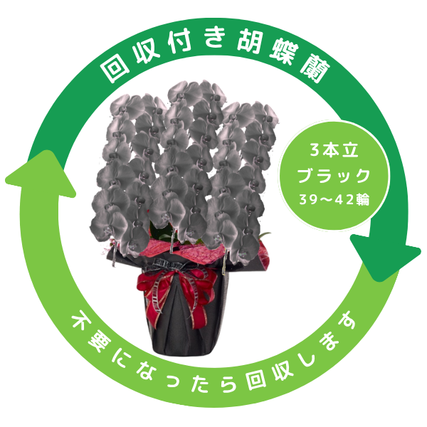 դեĳ  3Ω 3942ذʾ