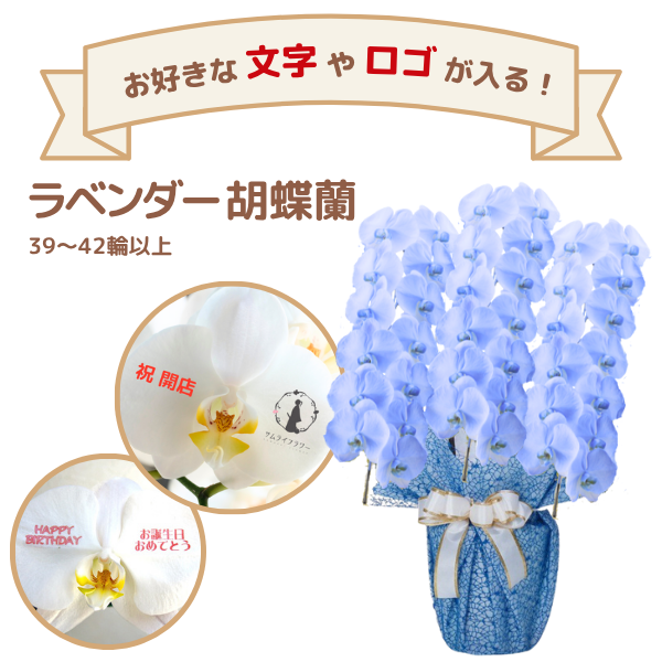 å եĳ 3Ω ٥ 3942ذʾ(ΤƤȭ)