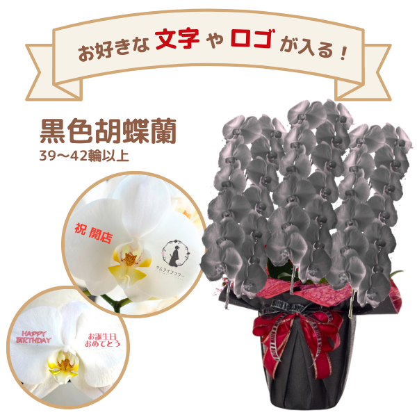 å եĳ 3Ω  3942ذʾ(ΤƤȭ)