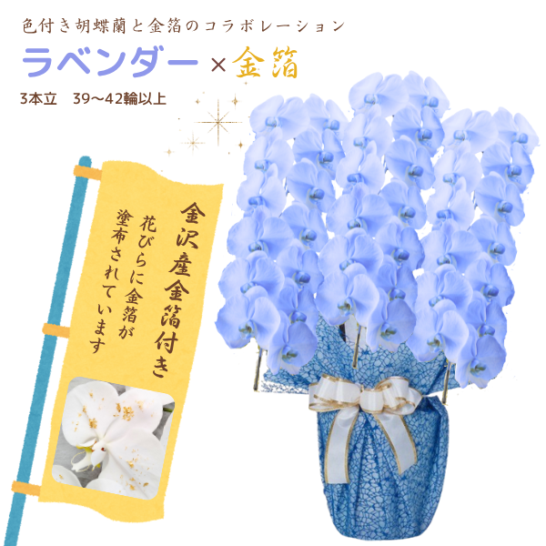 եĳ ٥ 3Ω 3942ذʾ墨դ