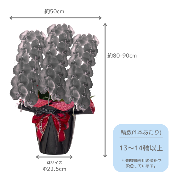 եĳ  3Ω 3942ذʾ墨դ 2