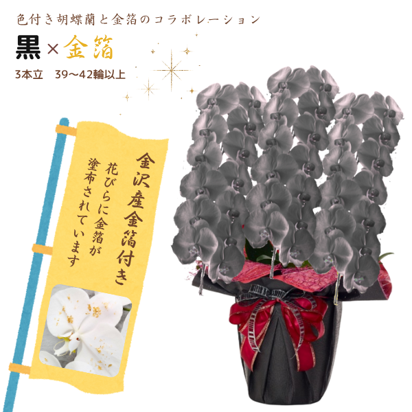 եĳ  3Ω 3942ذʾ墨դ