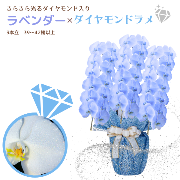 եĳ ٥ 3Ω 3942ذʾ墨դ