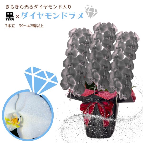 եĳ  3Ω 3942ذʾ墨դ