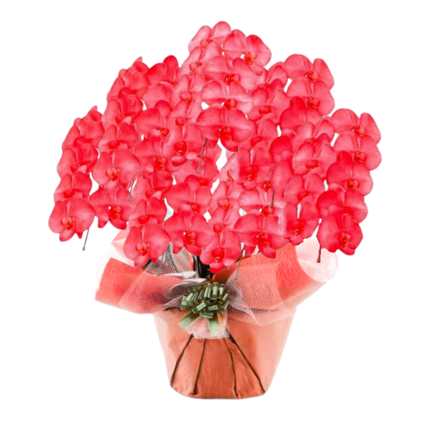 եĳ ֿ 7Ω 6370ذʾ(ΤƤȭ)