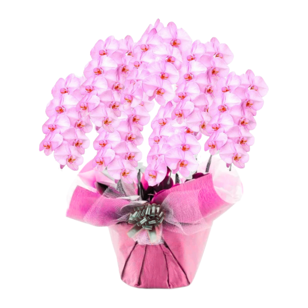 եĳ  7Ω 6370ذʾ(ΤƤȭ)