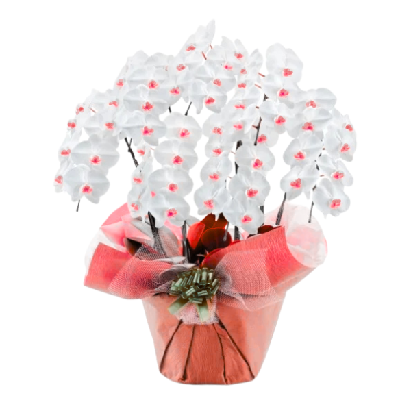 եĳ (å) 7Ω 6370ذʾ(ΤƤȭ)