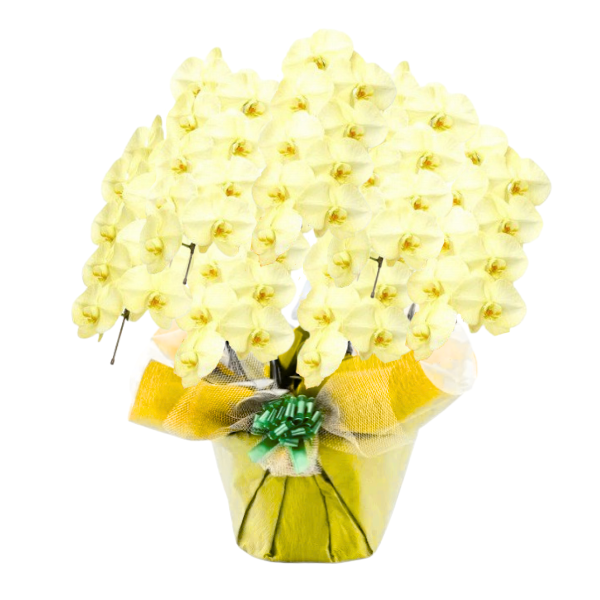 եĳ  7Ω 6370ذʾ(ΤƤȭ)