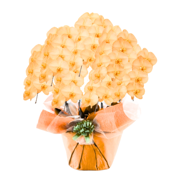 եĳ  7Ω 6370ذʾ(ΤƤȭ)