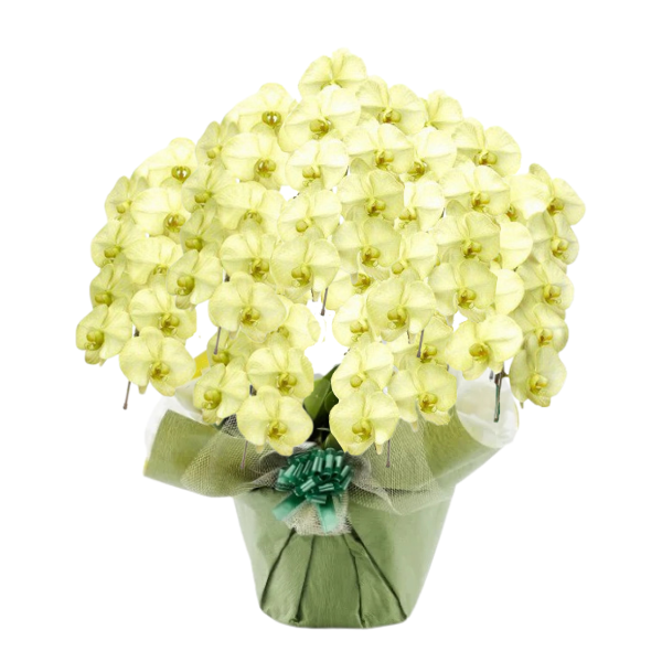 եĳ ⥹꡼ 7Ω 6370ذʾ(ΤƤȭ)