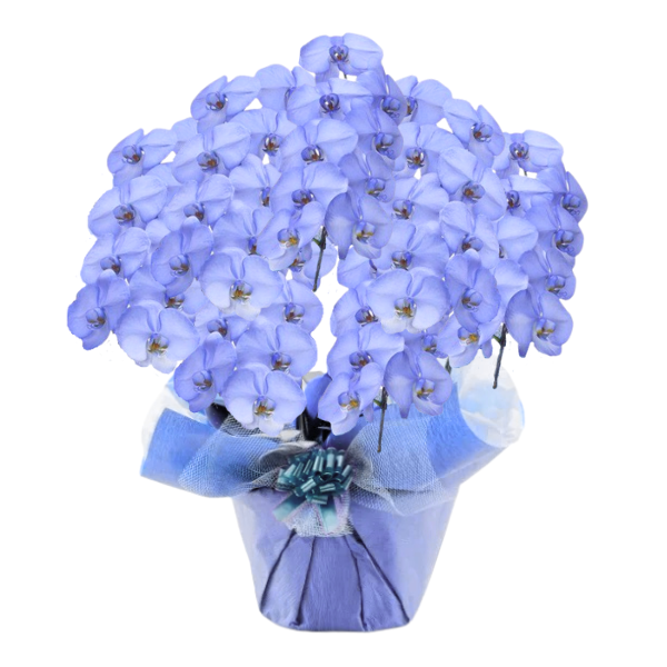 եĳ ٥ 7Ω 6370ذʾ(ΤƤȭ)