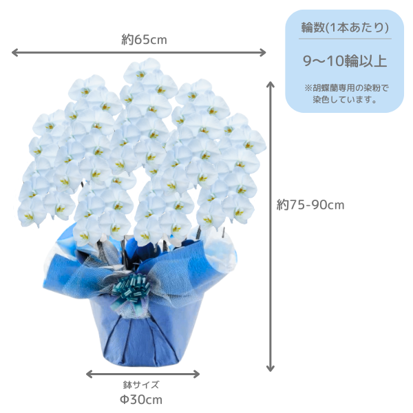 եĳ 鿧 7Ω 6370ذʾ(ΤƤȭ) 2