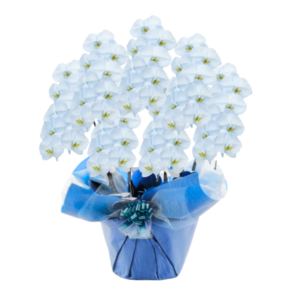 եĳ 鿧 7Ω 6370ذʾ(ΤƤȭ)