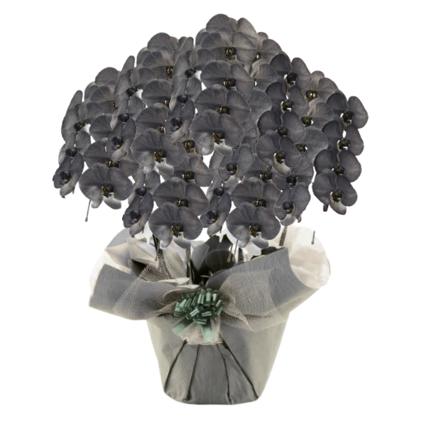 եĳ  7Ω 6370ذʾ(ΤƤȭ)