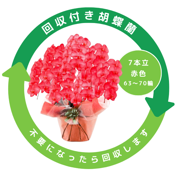 դեĳ ֿ 7Ω 6370ذʾ