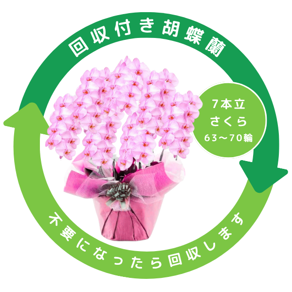 դեĳ  7Ω 6370ذʾ