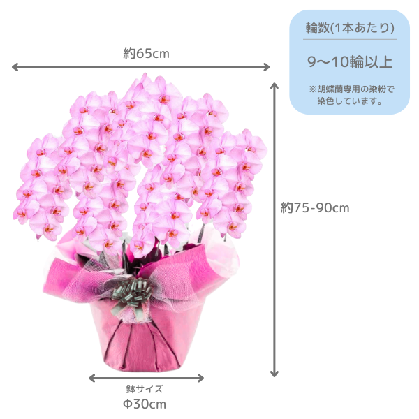 դեĳ  7Ω 6370ذʾ 2